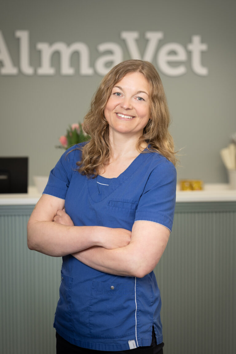 Emmi klemetti hokkanen