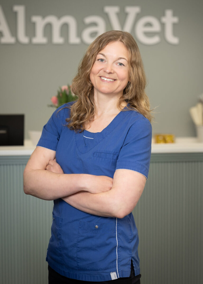 Emmi klemetti hokkanen
